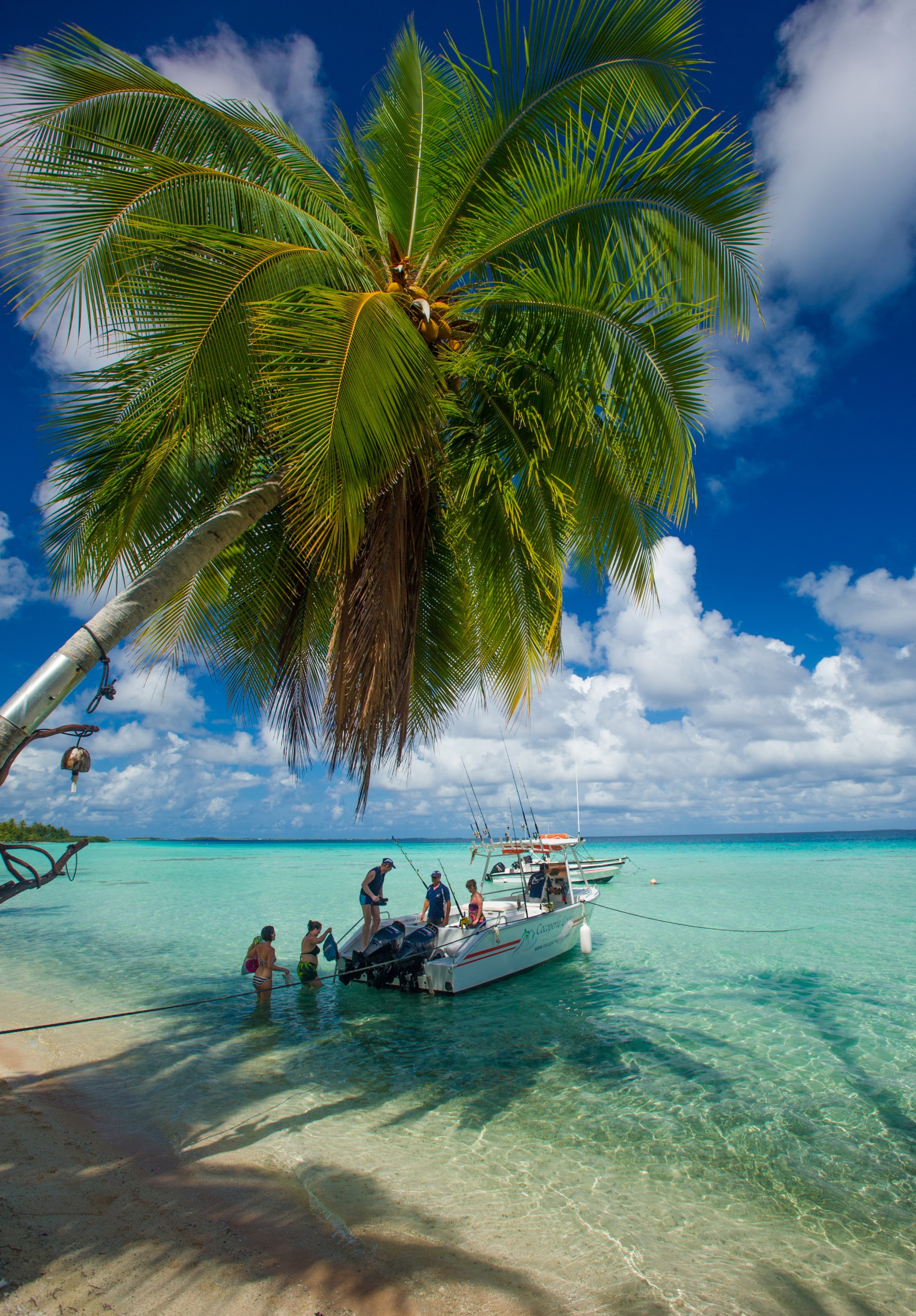 Pension Cocoperle Lodge